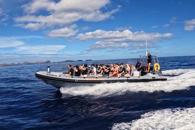 Whale and Dolphin Watching Tour from Funchal - Marine biologist briefings: why the pre-trip talk matters