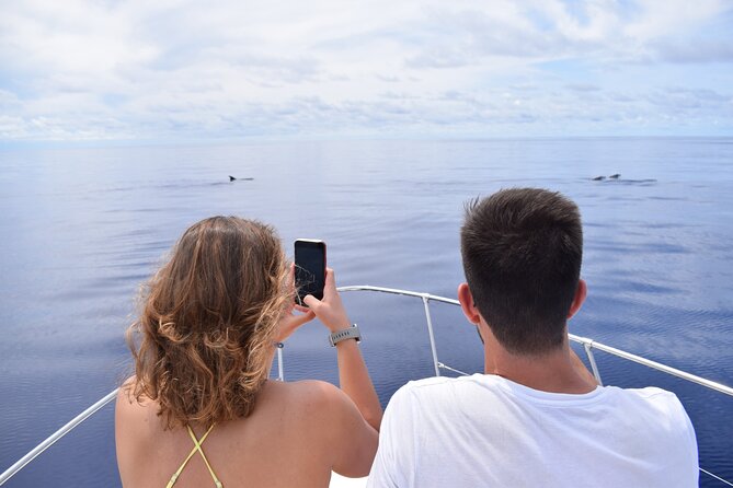 Whale and Dolphin Watching Tour in Madeira - H2: Calheta, Madeira, and Why the Sea Time Matters