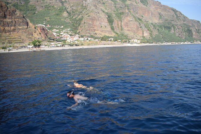 Whale and Dolphin Watching Tour in Madeira - H2: Sunset Departure Times, Sparkling Wine, and No Whale Watching