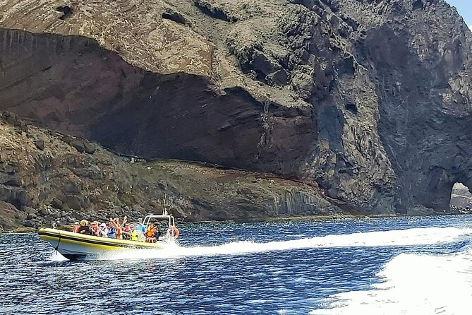 Whale & Dolphin Watching in Madeira - Should you book Whale and Dolphin Watching with Madeira Sea Emotions?
