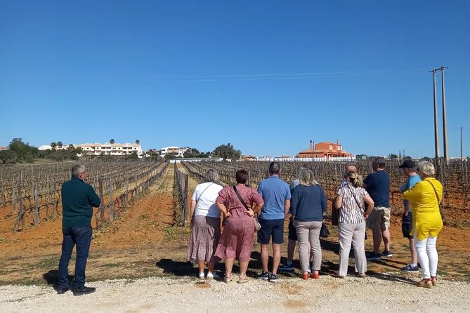 Wine Lovers: Winery Tour w/ Tasting & Tapas (Albufeira/Vilamoura) - Price and value: is 71.38 a good deal?