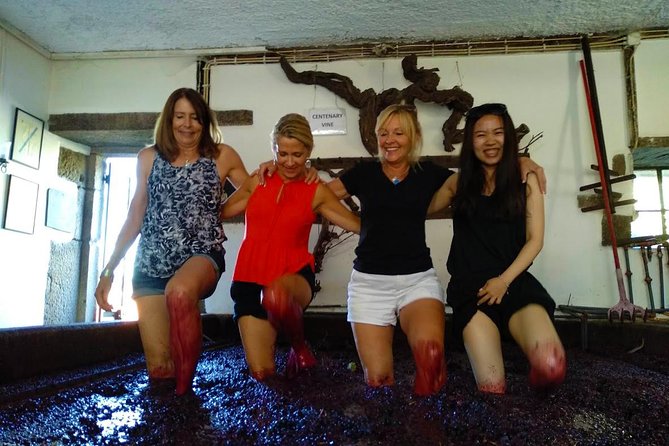 Wine Venture and Boat Trip in Douro Valley from Porto - Price and value: what you are actually paying for