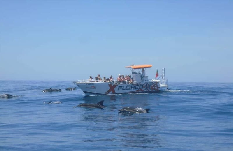 X Plorer – Caves (Benagil) & Dolphins Cruise - First Look: What This Benagil and Dolphin Cruise Feels Like